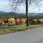 Aussichtsbauernhofpension Hof Gretchens 빈터베르크