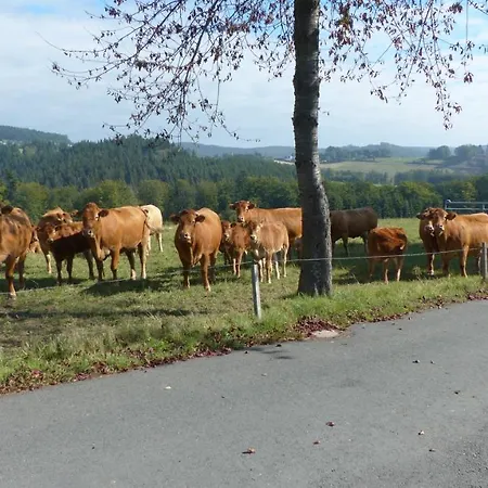 Aussichtsbauernhofpension Hof Gretchens Winterberg