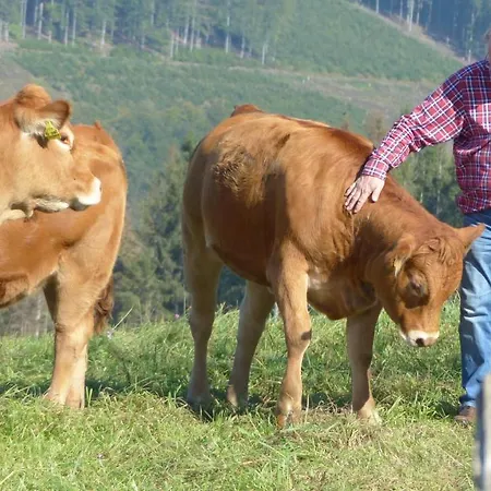 Aussichtsbauernhofpension Hof Gretchens Bed & Breakfast Winterberg