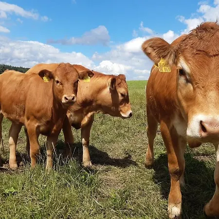 Aussichtsbauernhofpension Hof Gretchens * ヴィンターベルク