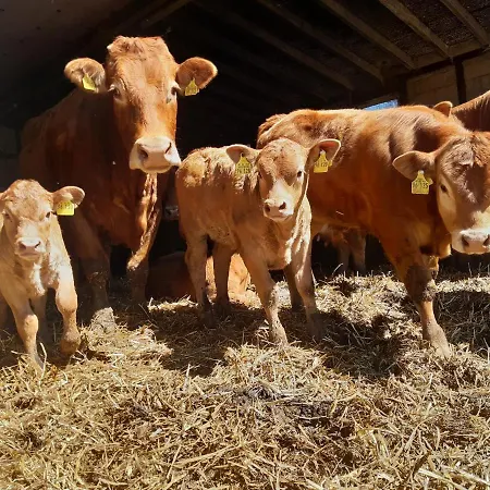 Bed & Breakfast Aussichtsbauernhofpension Hof Gretchens