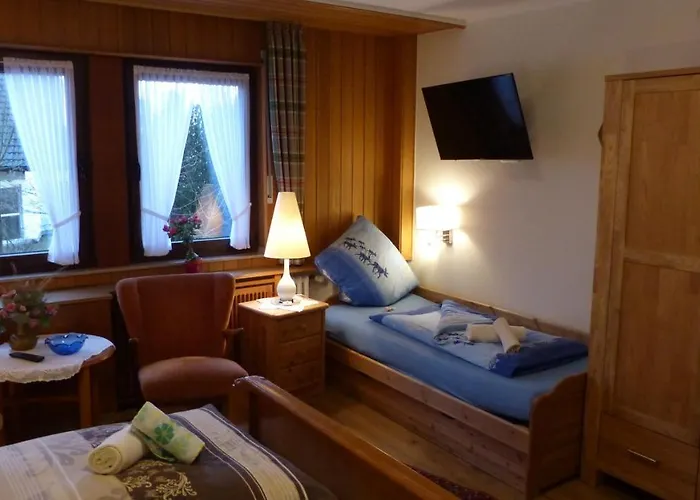 Aussichtsbauernhofpension Hof Gretchens Bed & Breakfast Winterberg