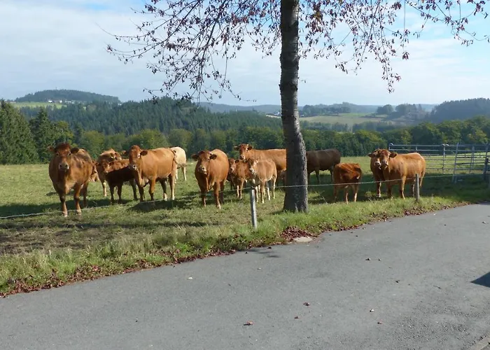 Aussichtsbauernhofpension Hof Gretchens Winterberg