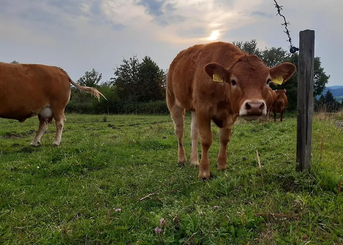 Bed & Breakfast Aussichtsbauernhofpension Hof Gretchens *
