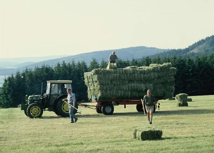 Aussichtsbauernhofpension Hof Gretchens Bed & Breakfast