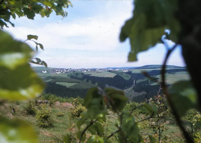 Aussichtsbauernhofpension Hof Gretchens * Winterberg